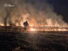 На Львівщині за добу зафіксували 64 пожежі в екосистемах