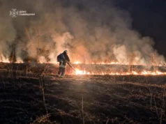На Львівщині за добу зафіксували 64 пожежі в екосистемах
