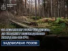 За незаконну вирубку 621 дерева на Львівщині відшкодовано понад 900 тисяч гривень За незаконну вирубку 621 дерева на Львівщині відшкодовано понад 900 тисяч гривень