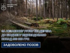 За незаконну вирубку 621 дерева на Львівщині відшкодовано понад 900 тисяч гривень За незаконну вирубку 621 дерева на Львівщині відшкодовано понад 900 тисяч гривень