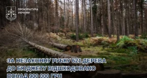 За незаконну вирубку 621 дерева на Львівщині відшкодовано понад 900 тисяч гривень
