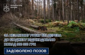 За незаконну вирубку 621 дерева на Львівщині відшкодовано понад 900 тисяч гривень За незаконну вирубку 621 дерева на Львівщині відшкодовано понад 900 тисяч гривень