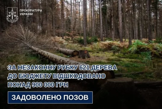 За незаконну вирубку 621 дерева на Львівщині відшкодовано понад 900 тисяч гривень