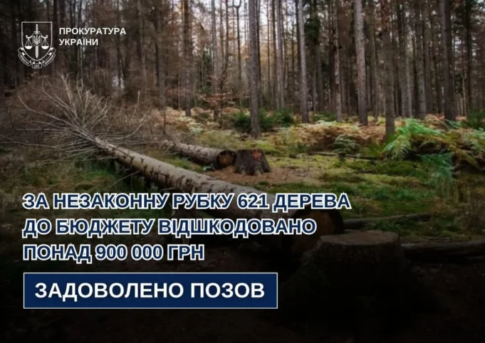 За незаконну вирубку 621 дерева на Львівщині відшкодовано понад 900 тисяч гривень