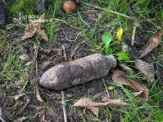 У львівському парку виявили застарілий боєприпас, сапери його знищили