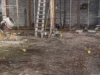 Мешканця Бродів засудили до 10 років за замах на вбивство військовослужбовця гранатою