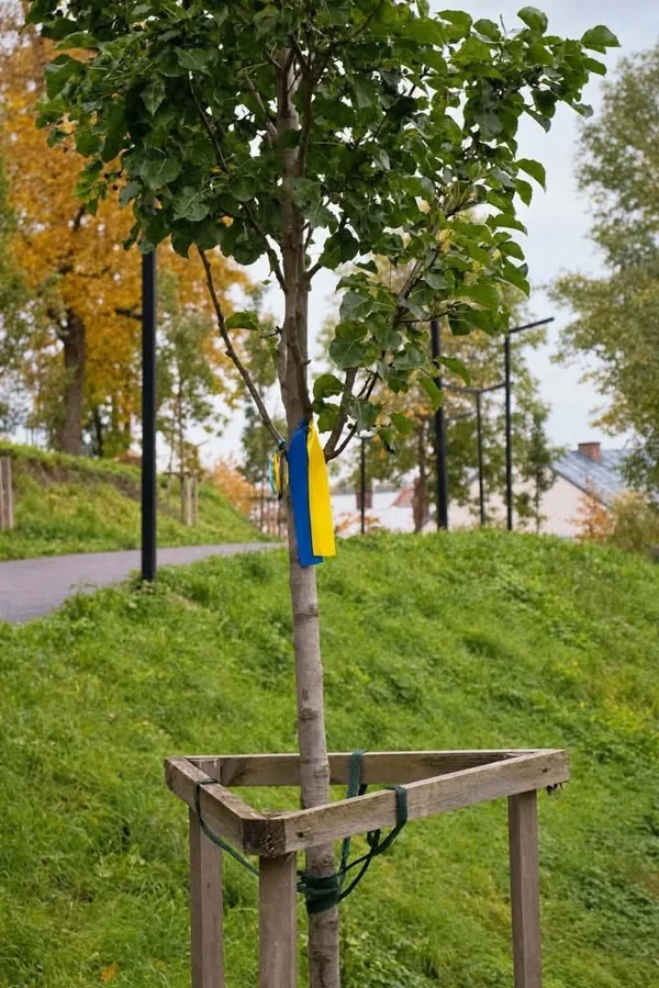 image У Дублянах планують створити простір Пам’яті Героїв