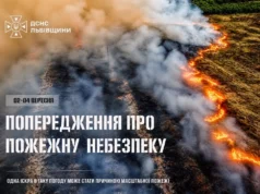 На Львівщині оголосили надзвичайну пожежну небезпеку