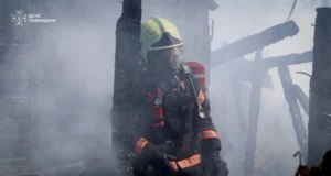 На Львівщині за добу ліквідували 14 пожеж, з них чотири в екосистемах