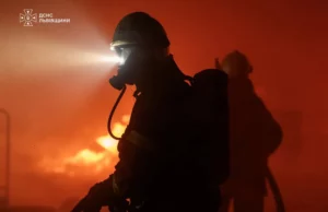 (Українська) На Львівщині за добу ліквідовано 10 пожеж, три з них в екосистемах На Львівщині за добу ліквідовано 10 пожеж, три з них в екосистемах