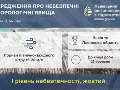 У Львівській області попереджають про сильний вітер 23 вересня У Львівській області попереджають про сильний вітер 23 вересня