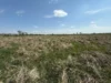 Львів та Малі Підліски виставляють на аукціон 5 ділянок для бізнесу