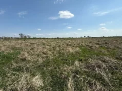 Львів та Малі Підліски виставляють на аукціон 5 ділянок для бізнесу
