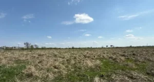 Львів та Малі Підліски виставляють на аукціон 5 ділянок для бізнесу