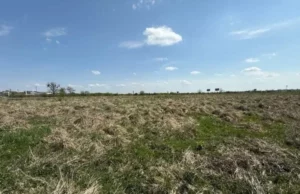 Львів та Малі Підліски виставляють на аукціон 5 ділянок для бізнесу
