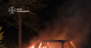 У селі Вовчатичі Стрийського району згорів легковий автомобіль