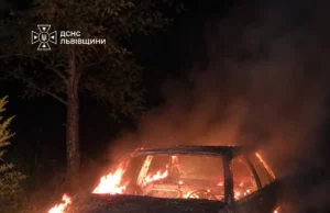 У селі Вовчатичі Стрийського району згорів легковий автомобіль