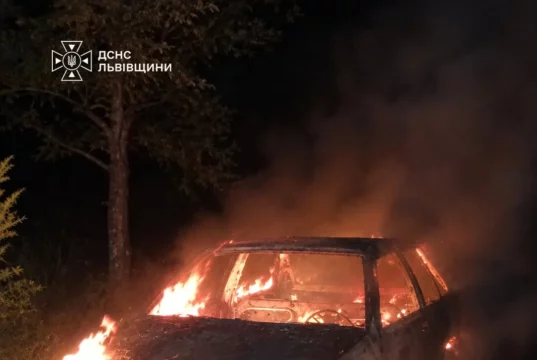 У селі Вовчатичі Стрийського району згорів легковий автомобіль