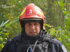 На Львівщині за добу зафіксували 49 пожеж, більшість — в екосистемах