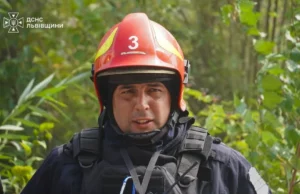 На Львівщині за добу зафіксували 49 пожеж, більшість — в екосистемах