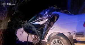 У селі Явора на Самбірщині рятувальники деблокували водія з перекинутого авто