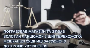 Мешканця Закарпаття засудили до 9 років за грабежі у Бориславі та Східниці