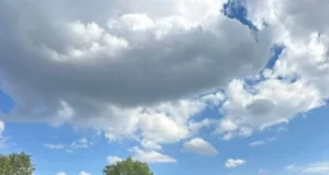 Команди Лопатинської громади здобули перемоги у чемпіонатах Львівщини
