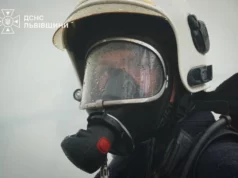 Надзвичайники Львівщини за добу загасили 14 пожеж, шість з них в екосистемах