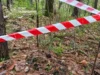 На Львівщині знищили боєприпаси часів Другої світової війни, знайдені в чотирьох селах