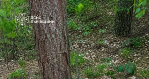 Поблизу Львова знищили артснаряд часів Другої світової війни