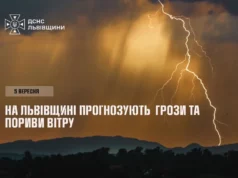 5 вересня на Львівщині очікують грози та пориви вітру 5 вересня на Львівщині очікують грози та пориви вітру