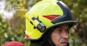 На Львівщині за добу ліквідували 7 пожеж, з них три в екосистемах