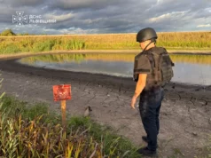 Поблизу села Велике Колодно виявили застарілу мінометну міну Поблизу села Велике Колодно виявили застарілу мінометну міну