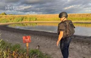 Поблизу села Велике Колодно виявили застарілу мінометну міну