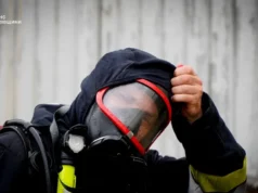 За добу на Львівщині сталося 48 пожеж, більшість — в екосистемах