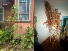 На Львівщині судитимуть двох чоловіків за постачання метадону в колонію