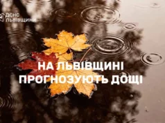 На Львівщині 11 жовтня місцями прогнозують значні дощі