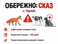У селі Грушів Яворівської громади запровадили карантин через сказ У селі Грушів Яворівської громади запровадили карантин через сказ
