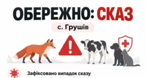 У селі Грушів Яворівської громади запровадили карантин через сказ
