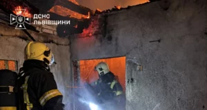 У селі Рудківці Стрийського району згоріли господарська будівля та авто