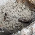 У селі Великий Дорошів виявили мінометну міну часів Другої світової війни