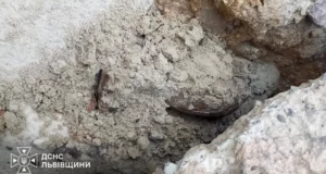 У селі Великий Дорошів виявили мінометну міну часів Другої світової війни