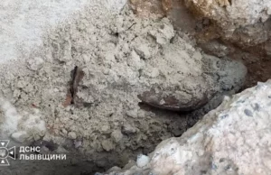 У селі Великий Дорошів виявили мінометну міну часів Другої світової війни У селі Великий Дорошів виявили мінометну міну часів Другої світової війни