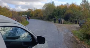 Між селами Дешичі та Чижки вантажівка смертельно травмувала пішохода