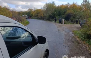 Між селами Дешичі та Чижки вантажівка смертельно травмувала пішохода