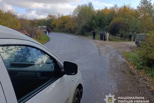 Між селами Дешичі та Чижки вантажівка смертельно травмувала пішохода