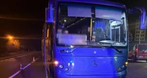 У селі Наконечне Перше на Львівщині внаслідок ДТП з автобусом загинув 77-річний велосипедист