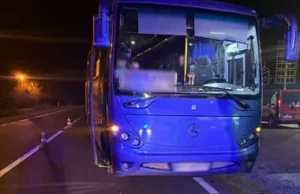 У селі Наконечне Перше на Львівщині внаслідок ДТП з автобусом загинув 77-річний велосипедист