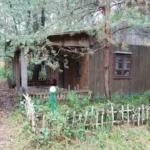 На Львівщині через борги та самочинні споруди громаді повернули 0,8 га лісу