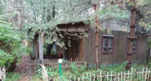 На Львівщині через борги та самочинні споруди громаді повернули 0,8 га лісу